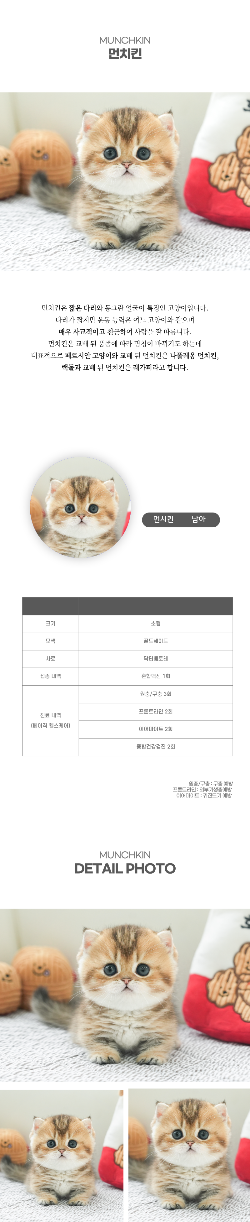 먼치킨_상세이미지_2
